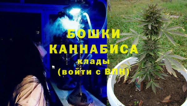 apvp Богородск