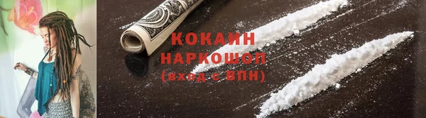 spice Богданович