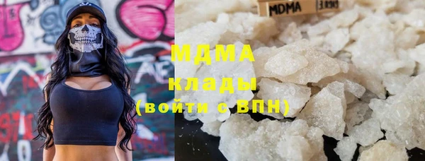 spice Богданович
