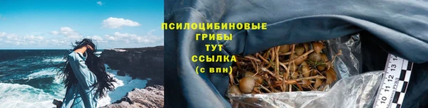 spice Богданович