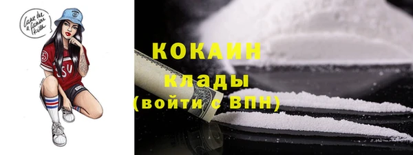 spice Богданович