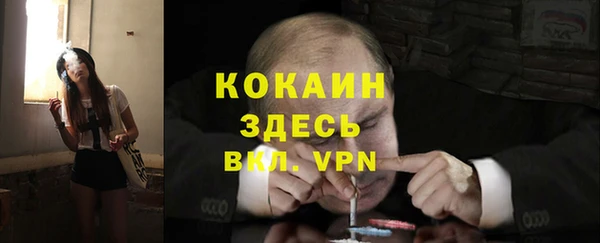 spice Богданович