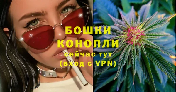 spice Богданович