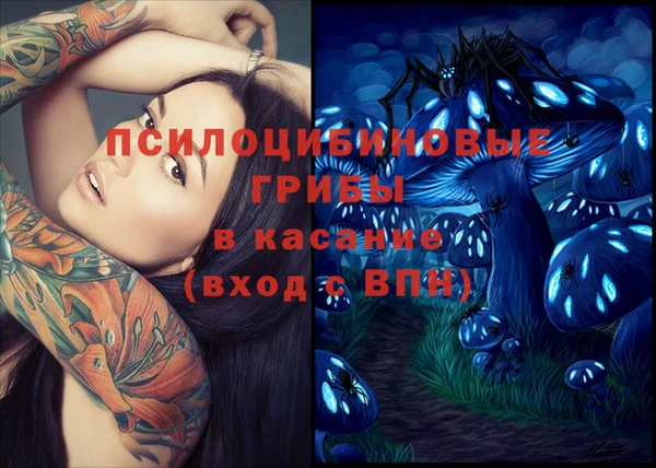 spice Богданович