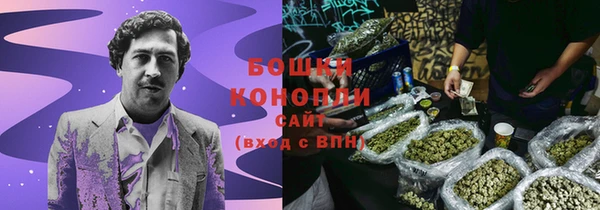 spice Богданович