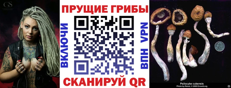 Галлюциногенные грибы Psilocybe  закладка  Белгород 